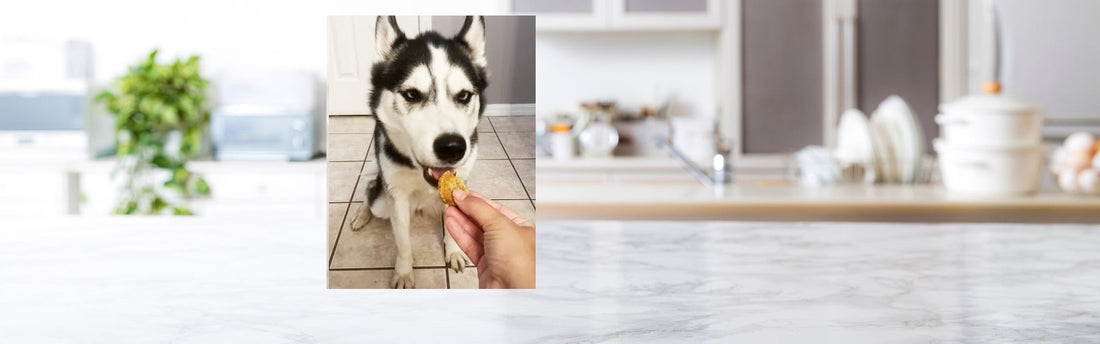 Easy Dog Treats Recipe