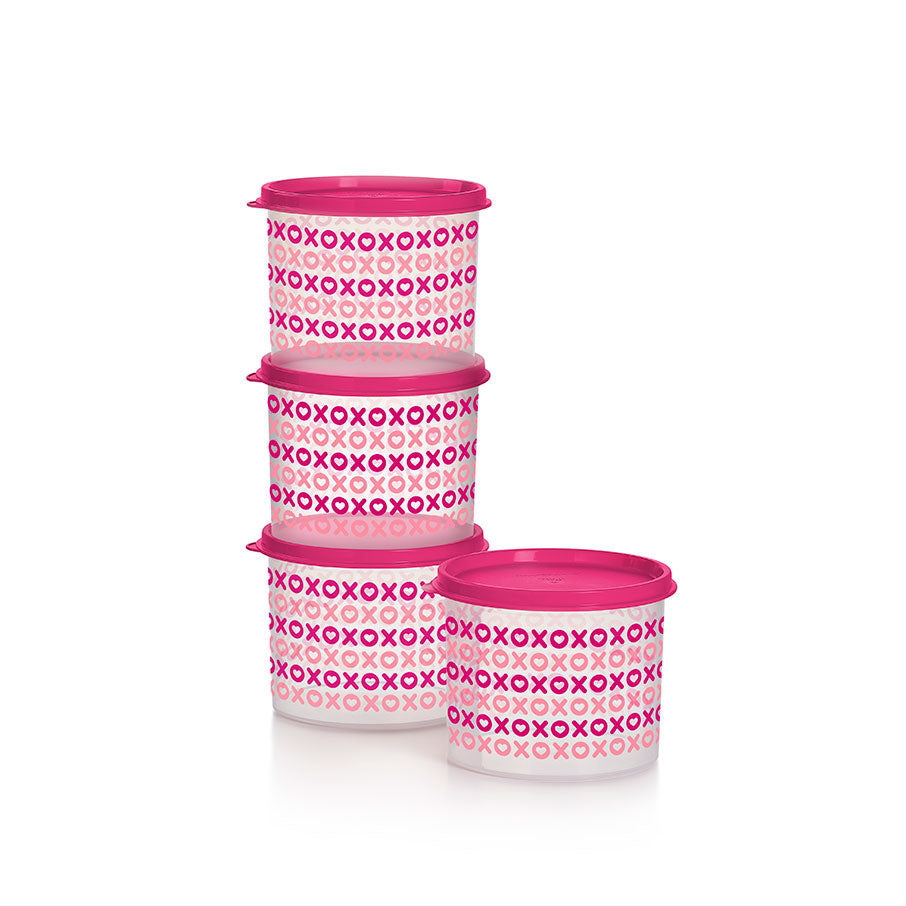 Mini Canister | 2½ Cup / 600 mL | 4-piece Set