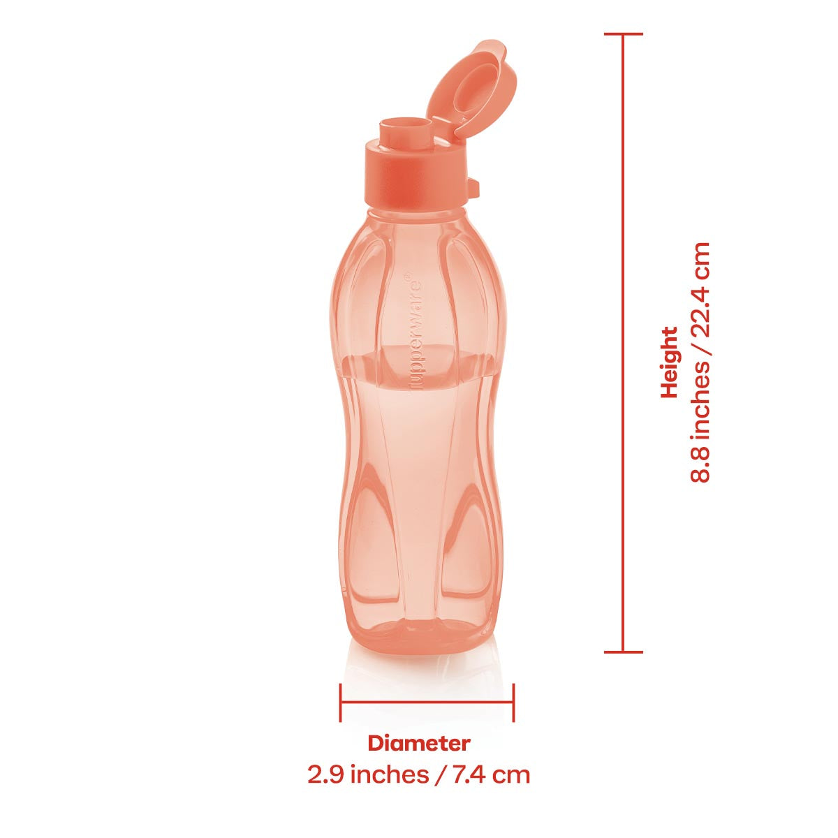 Eco+ Bottle | Small