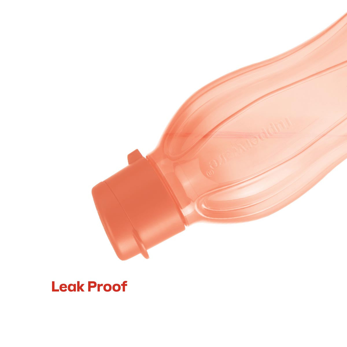 Eco+ Bottle | Small