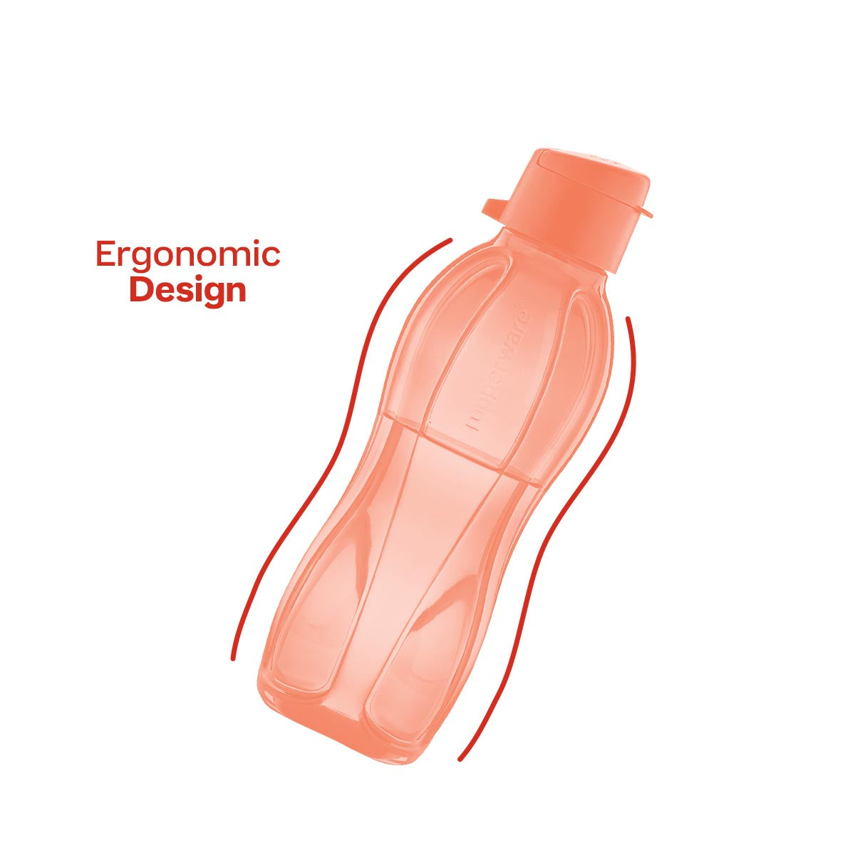 Eco+ Bottle | Small