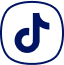 Tiktok icon