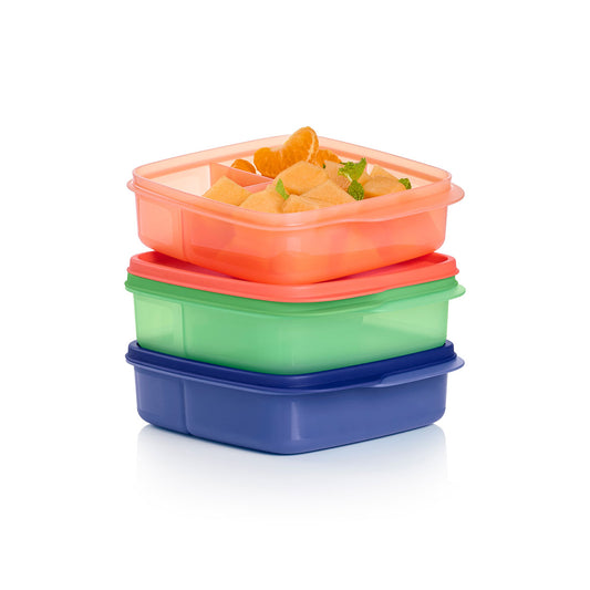 Eco+ Lunch-It® Containers (set of 3)