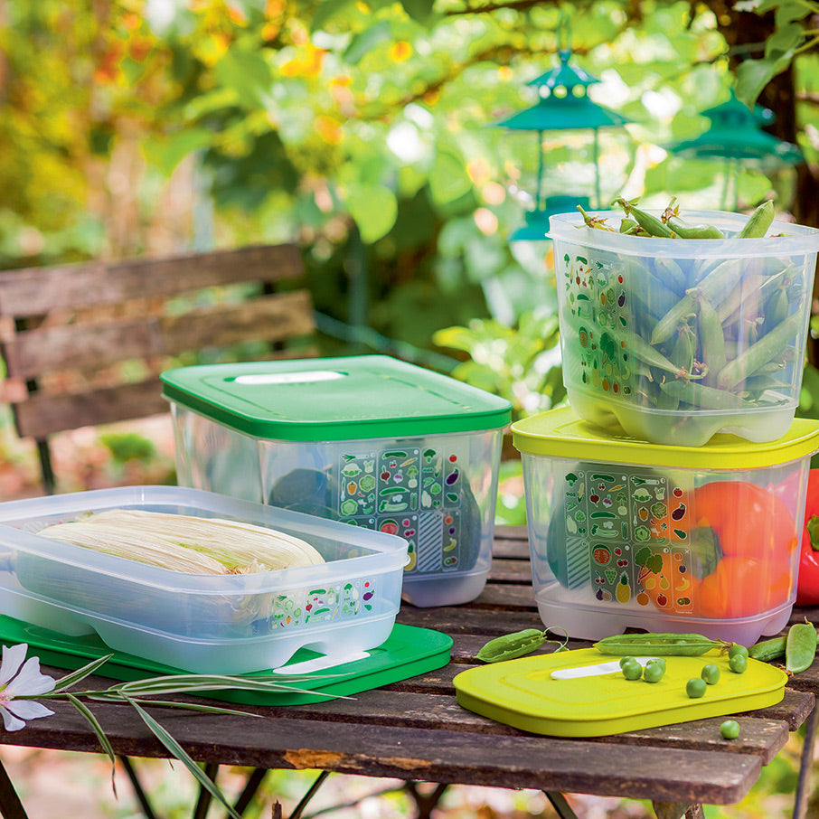 FridgeSmart® 4-Pc. Starter Set – Tupperware CA