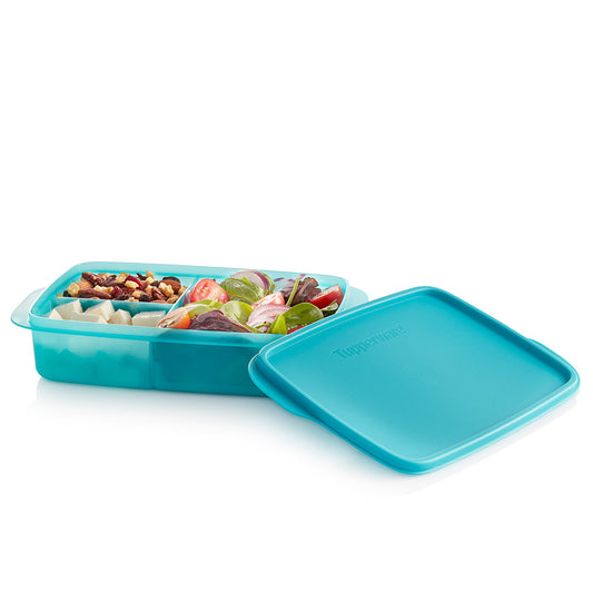Vintage Tupperware Square Sandwich and Divided Snack 